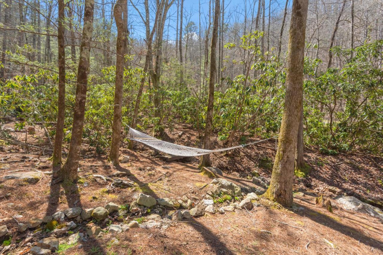Vila Bear Paw Trail Sevierville Exteriér fotografie